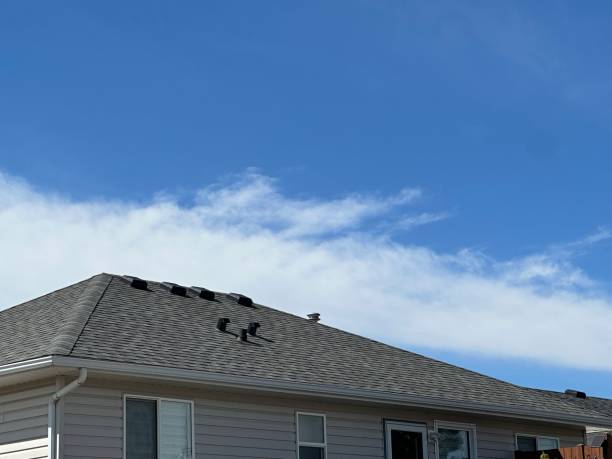 Best Roof Maintenance and Cleaning  in Bertram, TX